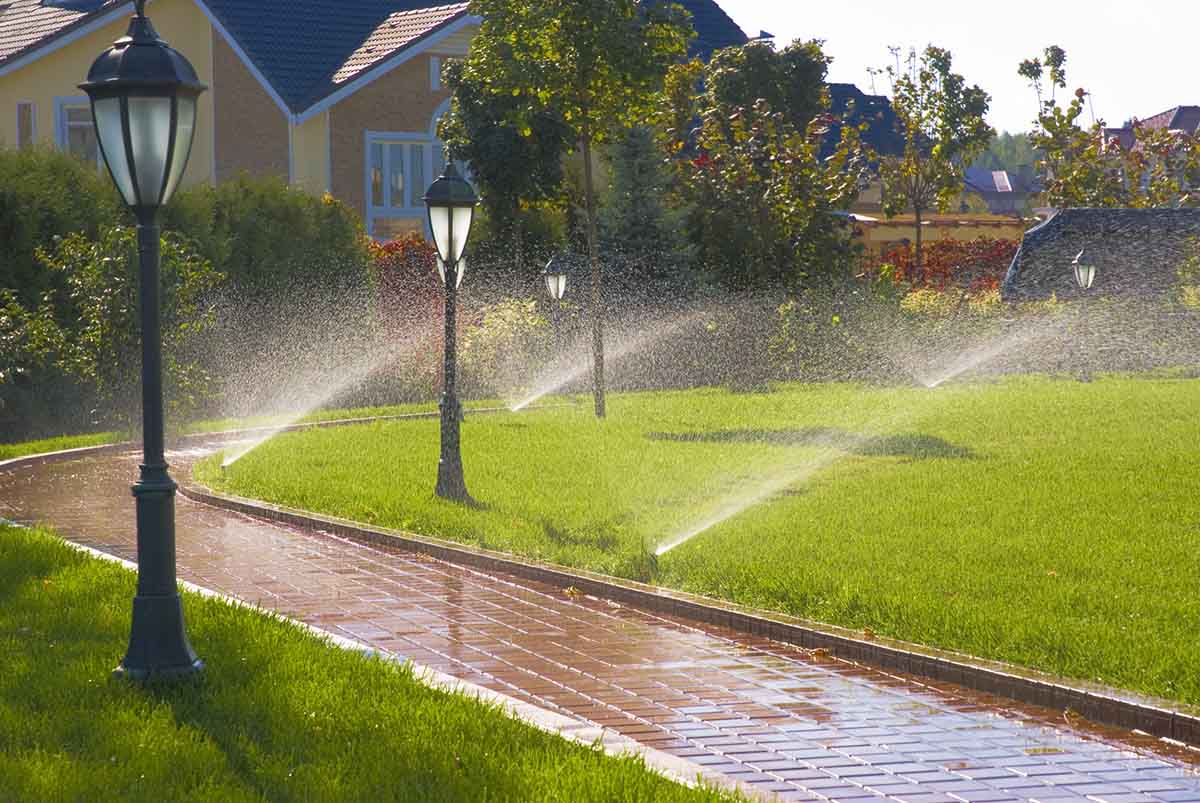 View leaf removal project in Saint Clair Shores